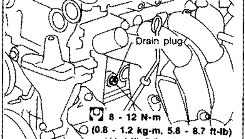 Cylinder block area showing the drain plug location with a tightening torque note. Callout 'Drain plug' with torque spec 8-12 N·m (0.8-1.2 kg-m, 5.8-8.7 ft-lb).