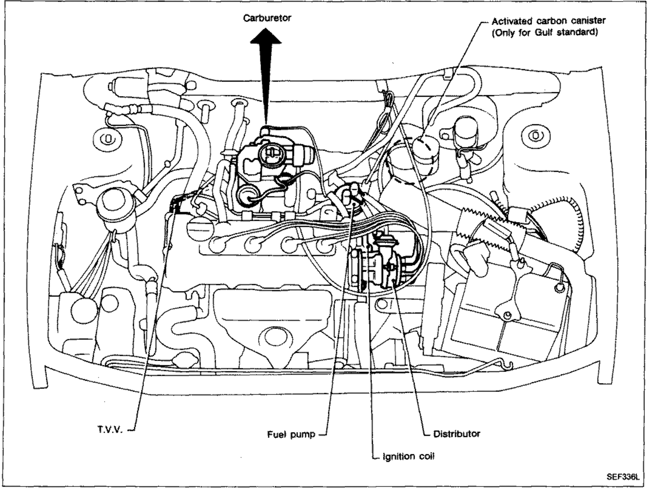 Underhood/engine-compartment view (front of vehicle) showing component locations. Callouts: carburetor (center, arrow), activated carbon canister (Only for Gulf standard) (upper right), T.V.V. (lower left), fuel pump (lower center), ignition coil (lower center), distributor (lower center-right).