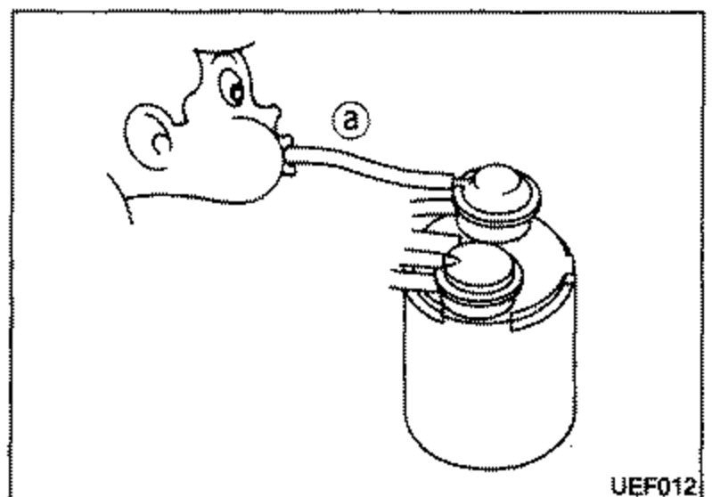 Illustration of a person sucking air at a T-connector hose (callout 'a') connected to the carbon canister, demonstrating the carbon canister purge control valve inspection. Callout 'a' points to the T-connector rubber hose.