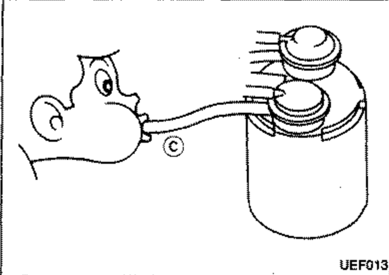 Illustration of a person blowing air through rubber hose (callout 'c') leading to the carburetor float chamber, connected to the carbon canister. Callout 'c' points to the hose leading to the float chamber.