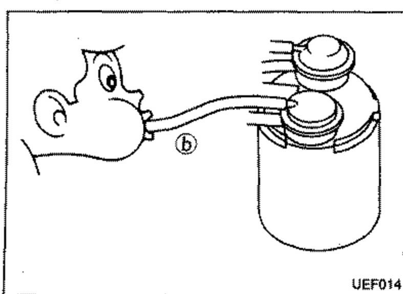 Illustration of a person blowing or sucking air at the opening of rubber hose (callout 'b') leading to the intake manifold, connected to the carbon canister. Callout 'b' points to the intake manifold hose.